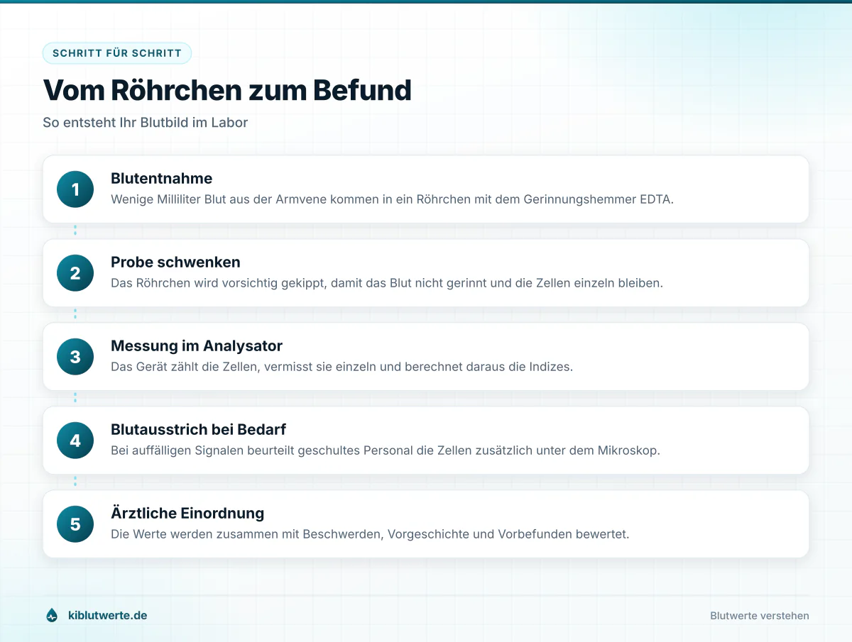 Ablaufgrafik in fünf Schritten von der Blutentnahme über die Messung im Analysator bis zur ärztlichen Einordnung