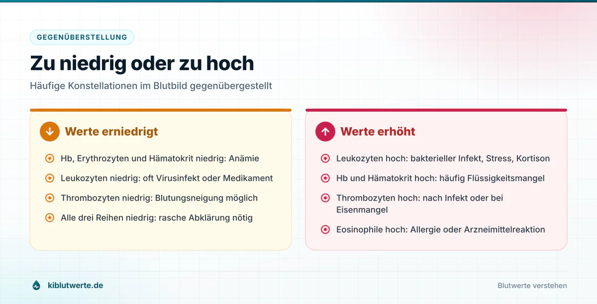 Gegenüberstellung erniedrigter und erhöhter Blutbildwerte mit typischen Ursachen für Anämie und Leukozytose