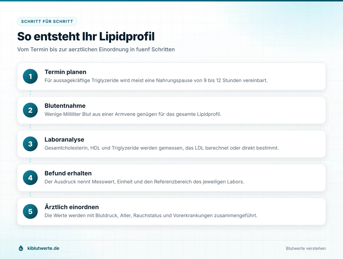 Ablaufgrafik in fünf Schritten von der Terminplanung über Blutentnahme und Laboranalyse bis zur Einordnung des Lipidprofils