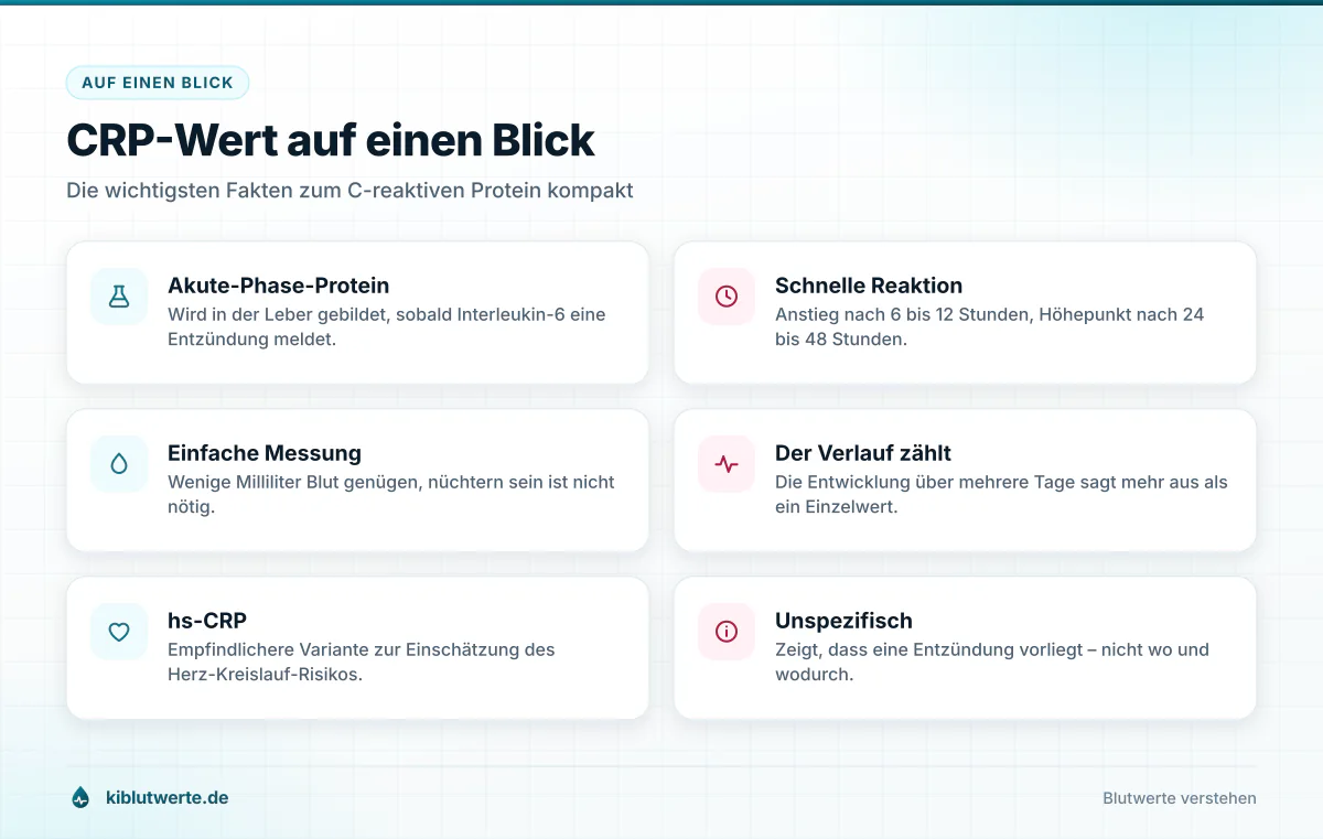 Faktenkarte zum CRP Wert mit sechs Kacheln zu Bildungsort, Anstiegszeit, Messung, Verlauf, hs-CRP und Aussagekraft