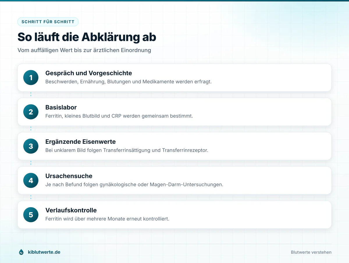 Fünfstufige Ablaufgrafik zur Abklärung eines niedrigen Ferritinwerts von der Anamnese bis zur Verlaufskontrolle