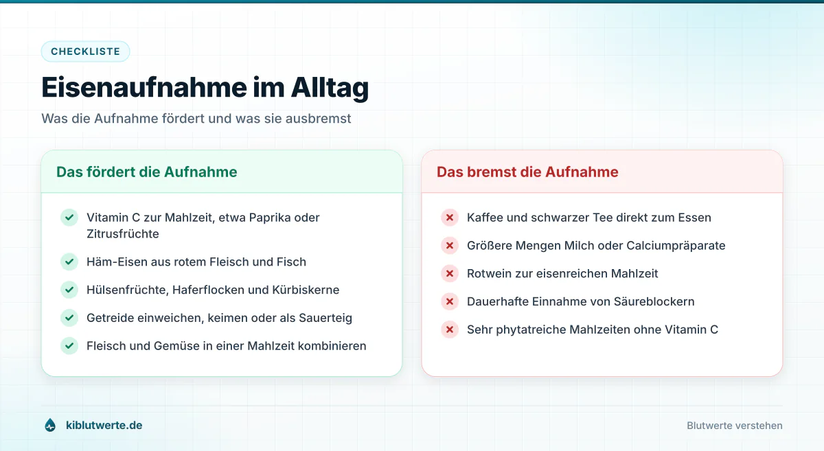 Checkliste mit zwei Spalten zu Lebensmitteln und Gewohnheiten, die die Eisenaufnahme fördern oder hemmen