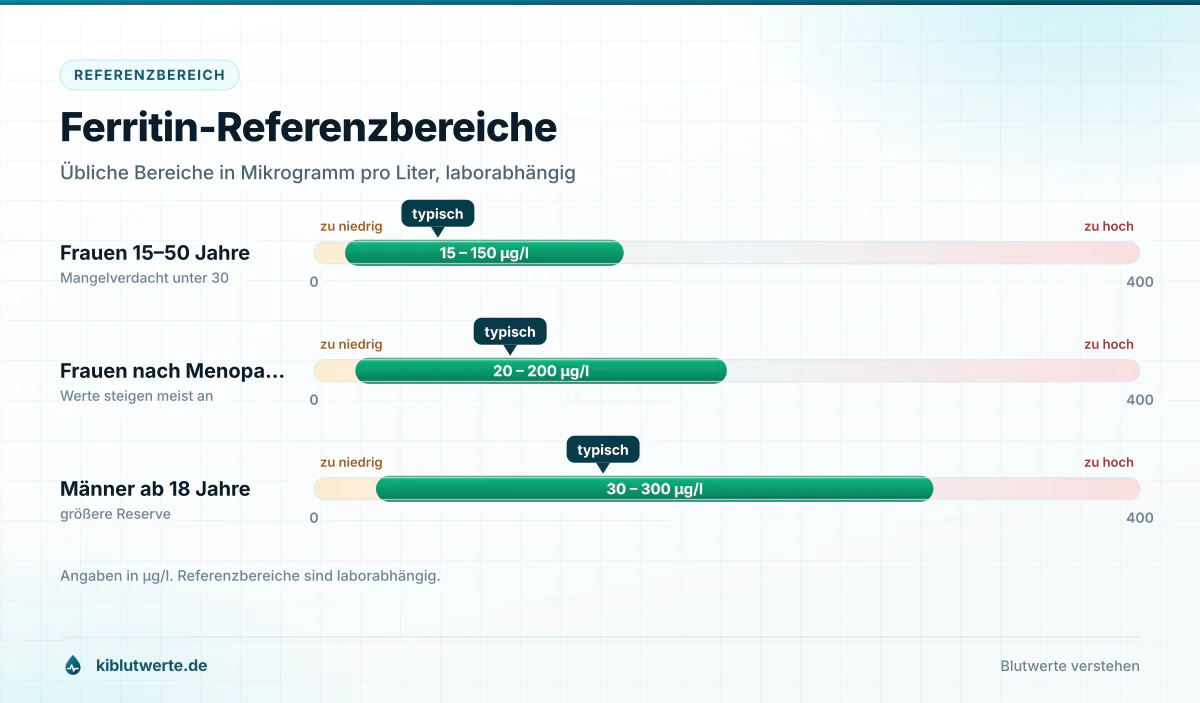 Skalengrafik der Ferritin-Referenzbereiche in Mikrogramm pro Liter für Frauen vor und nach der Menopause sowie Männer