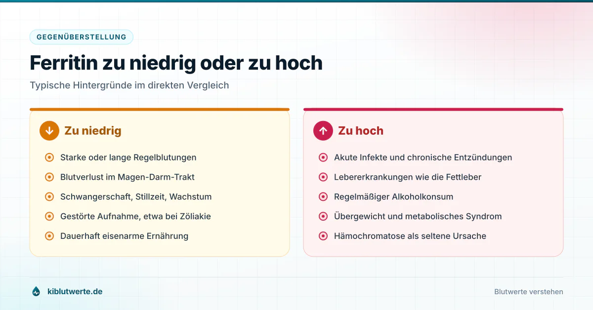 Gegenüberstellung der häufigsten Ursachen für zu niedriges und zu hohes Ferritin in zwei farbigen Spalten