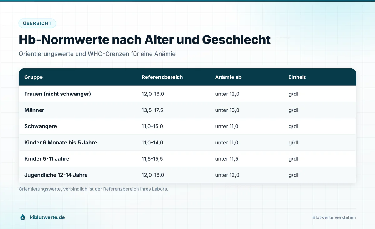 Hb-Normwerte nach Alter und Geschlecht Tabelle mit Hämoglobin Werten für Frauen, Männer, Schwangere und Kinder samt der jeweiligen Anämiegrenze in g/dl