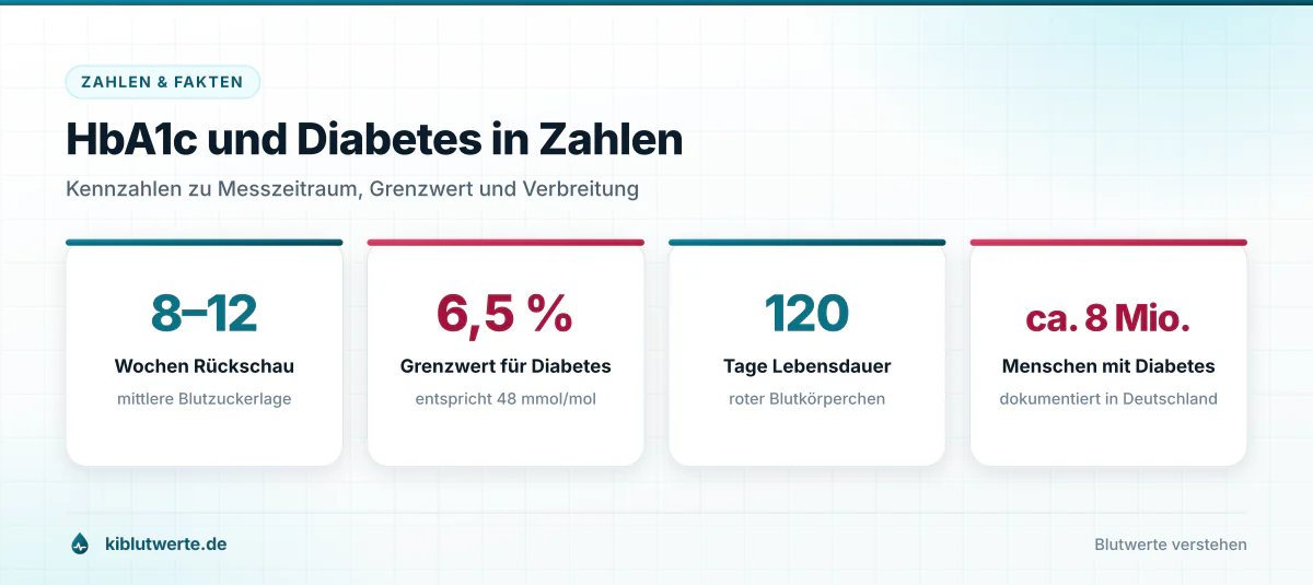 Infografik mit vier Kennzahlen zum HbA1c Wert: Messzeitraum, Grenzwert, Lebensdauer roter Blutkörperchen und Verbreitung