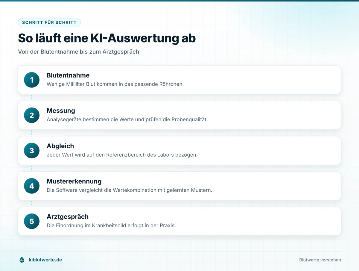 Ablaufgrafik zu KI Laborwerten mit fünf Schritten von der Blutentnahme über Messung und Mustererkennung bis zum Arztgespräch