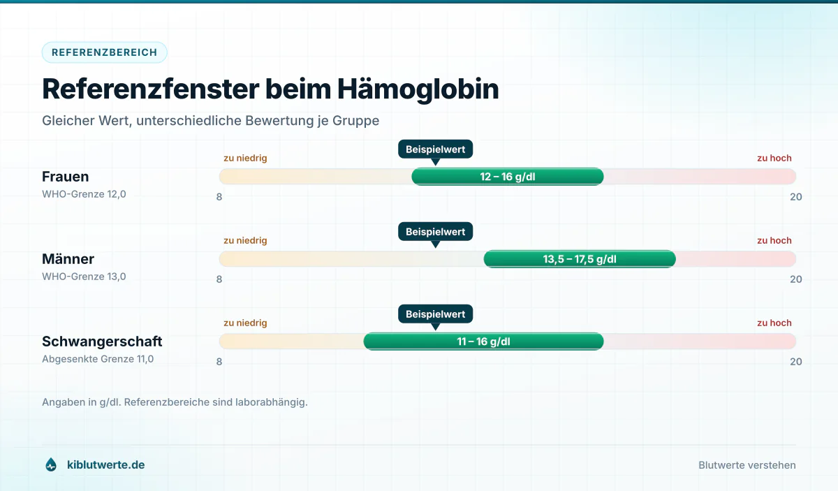 Skalendiagramm zu KI Laborwerten mit den Hämoglobin-Referenzbereichen für Frauen, Männer und die Schwangerschaft in g/dl