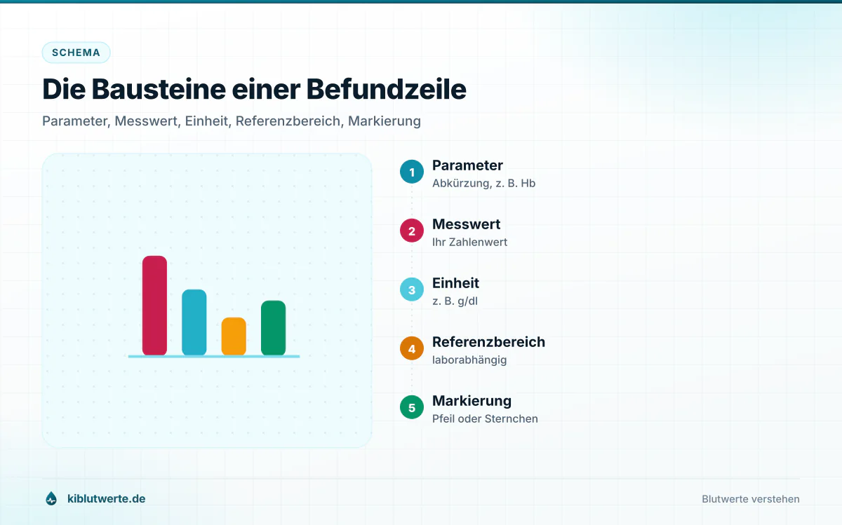 Schema zum Laborbefund lesen mit beschrifteten Spalten für Parameter, Messwert, Einheit, Referenzbereich und Markierung