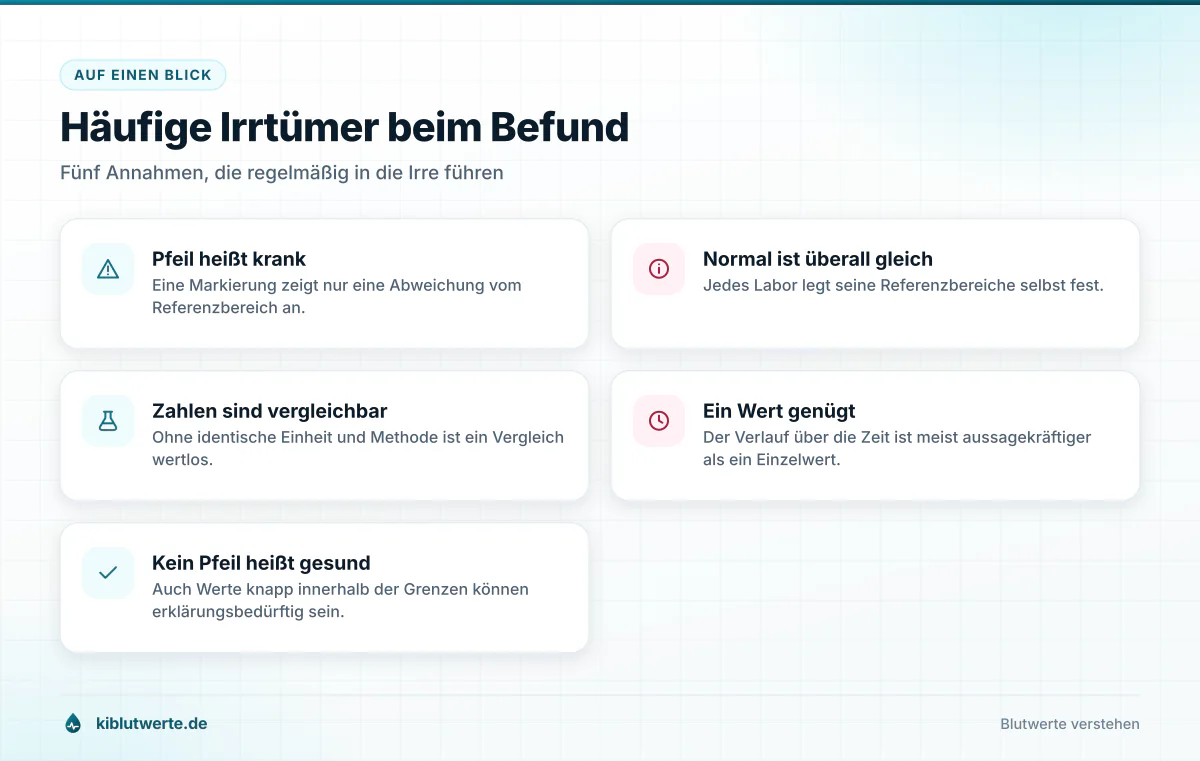 Übersichtskarte zum Laborbefund lesen mit fünf verbreiteten Irrtümern über Pfeile, Referenzbereiche und Einzelwerte