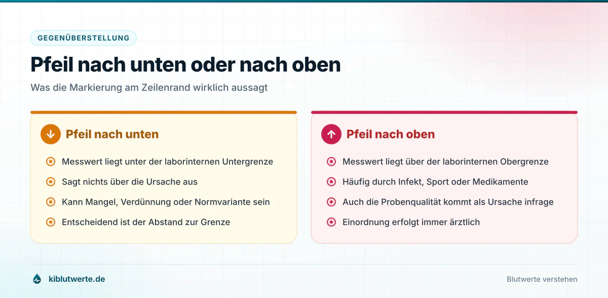 Gegenüberstellung zum Laborbefund lesen: links Pfeil nach unten, rechts Pfeil nach oben mit ihrer jeweiligen Bedeutung