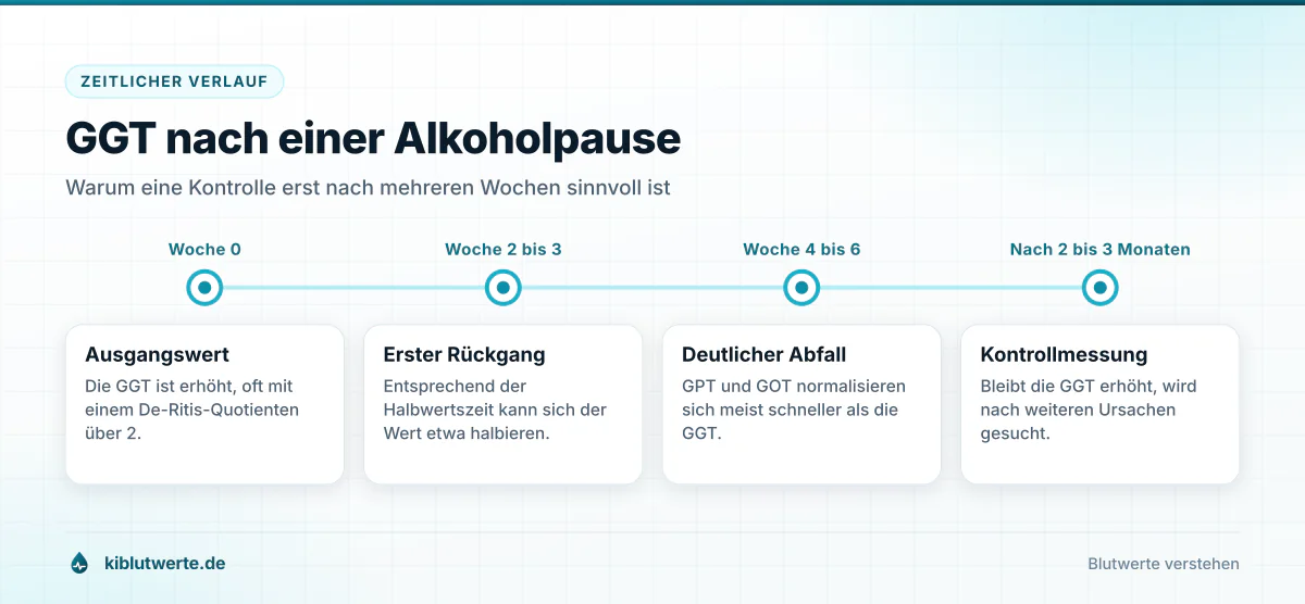 GGT nach einer Alkoholpause Zeitstrahl zum Verlauf der GGT nach Alkoholverzicht von der Ausgangsmessung bis zur Kontrolle nach zwei bis drei Monaten
