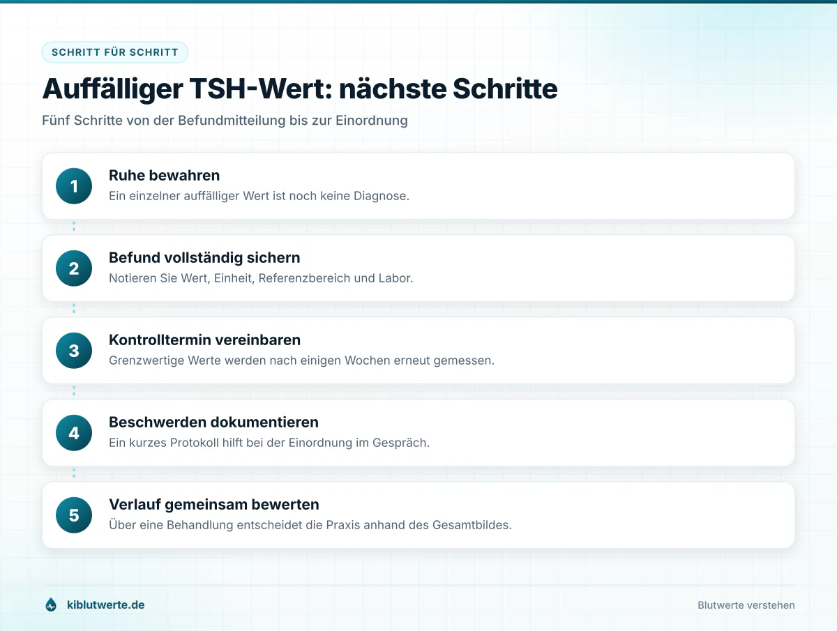 Ablaufgrafik mit fünf Schritten nach einem auffälligen TSH-Wert von der Befundsicherung bis zur gemeinsamen Bewertung