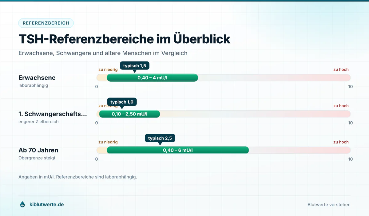 Skala mit TSH-Referenzbereichen in Milliunits pro Liter für Erwachsene, das erste Schwangerschaftsdrittel und Ältere