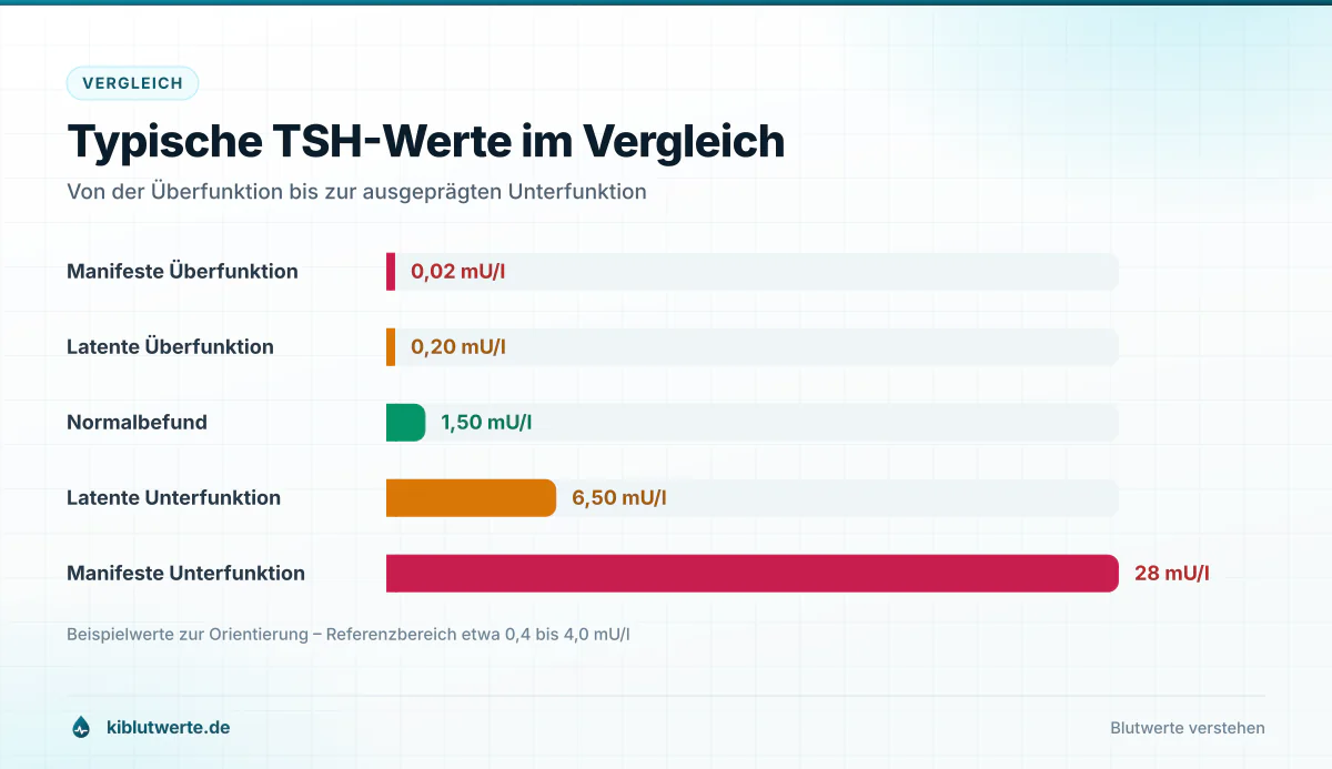 Balkendiagramm typischer TSH-Werte in Milliunits pro Liter von der Überfunktion über den Normalbefund bis zur Unterfunktion