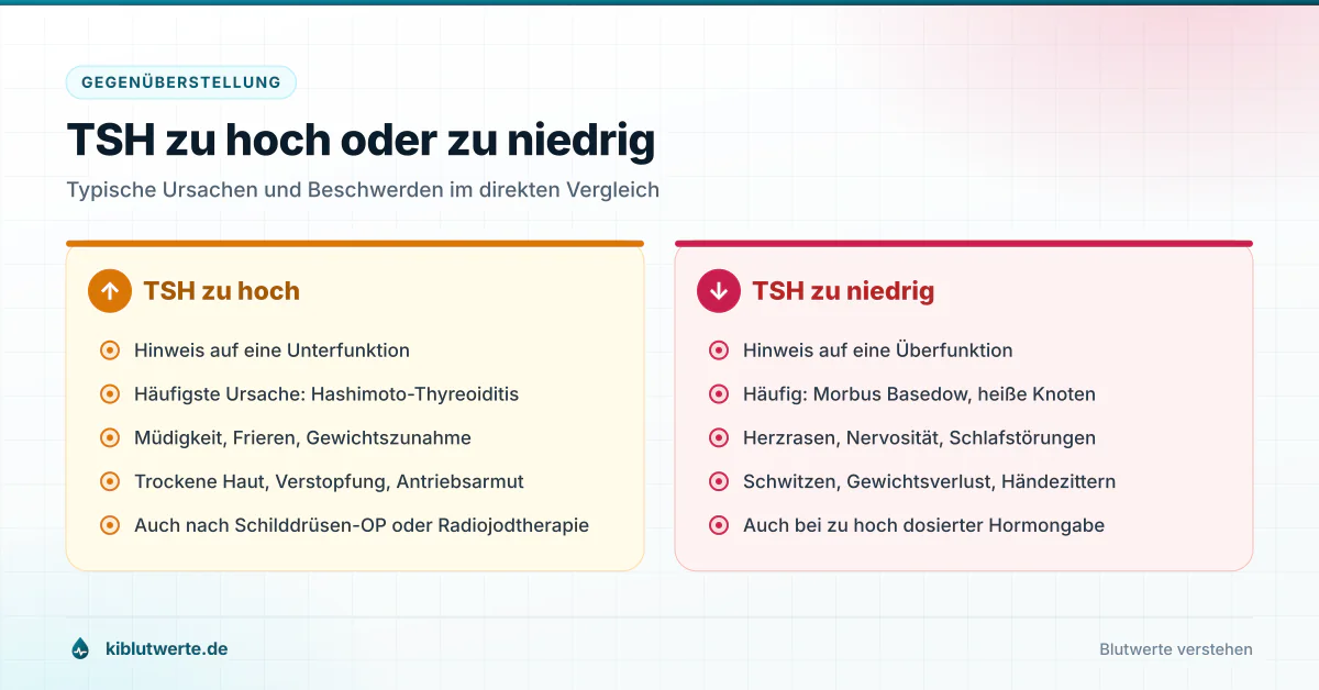 Gegenüberstellung von zu hohem und zu niedrigem TSH-Wert mit typischen Ursachen und Beschwerden bei Unter- und Überfunktion